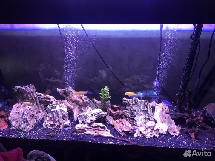 Аквариум с тумбой 300 литров
