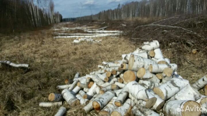 Дрова для дома и бани