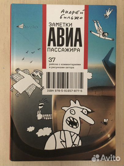 Заметки авиапассажира Андрей Бильжо