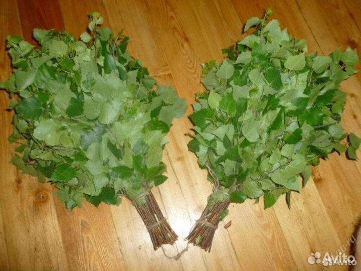 Веники для бани береза