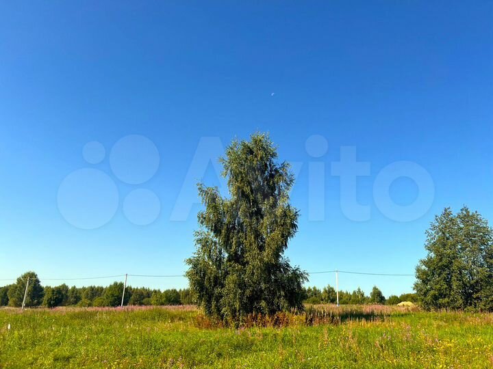 Участок 9,1 сот. (ИЖС)