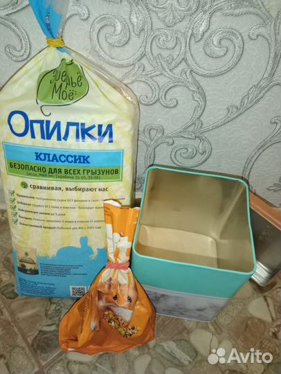 Ручной добряк сирийский хомяк с клеткой