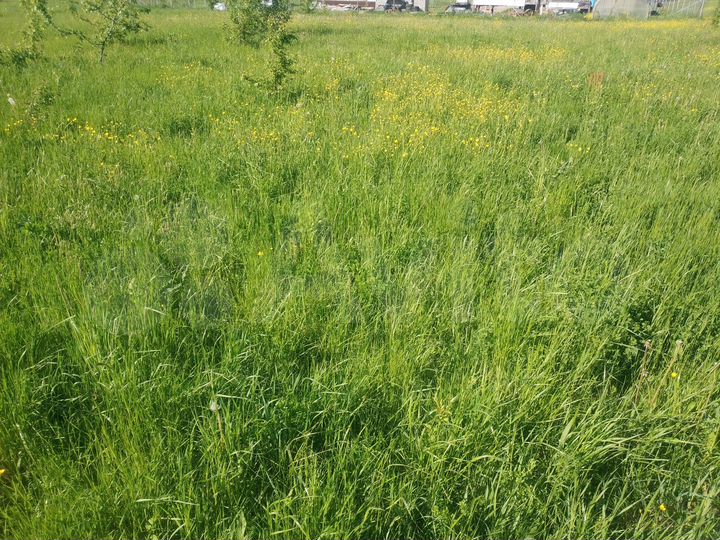 Участок 14,5 сот. (ИЖС)