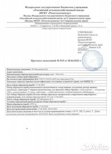 Семена озимого рапса Мерседес