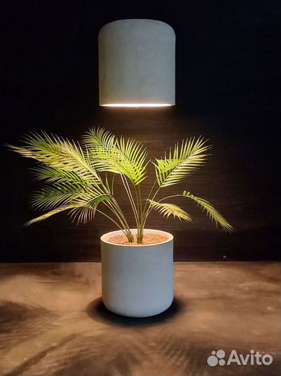 Горшки, Вазоны, Кашпо под заказ из бетона арт 166