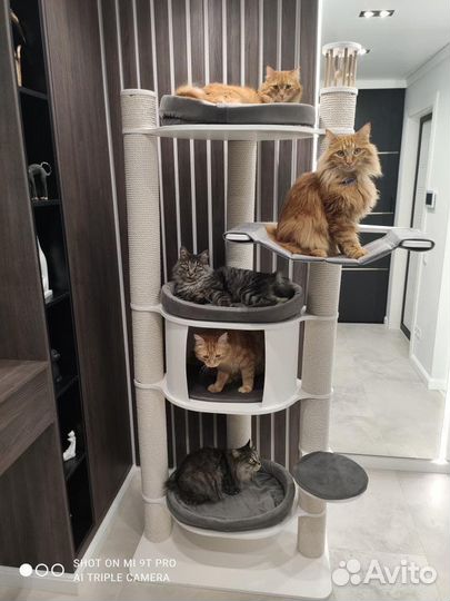 Домик для кошки с когтеточкой