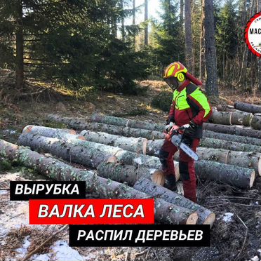 Спил деревьев / расчистка участка