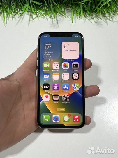 iPhone X, 256 ГБ