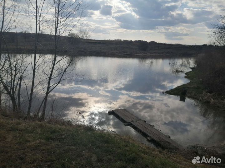 Платная рыбалка