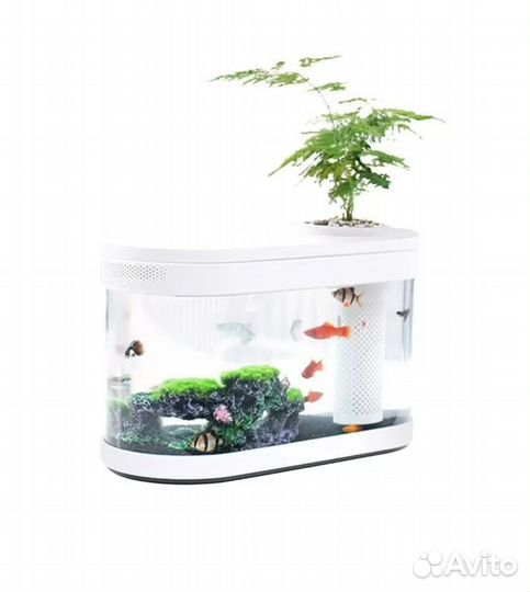 Аквариум