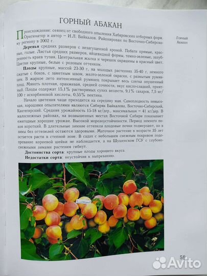 Помология косточковые культуры