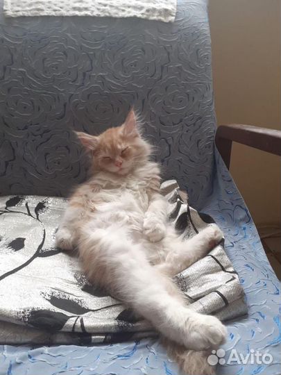 Мейкун вязка