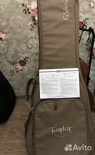 Taylor GS Mini plus