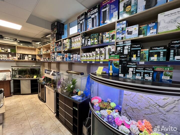 Аквариумы в наличии и на заказ