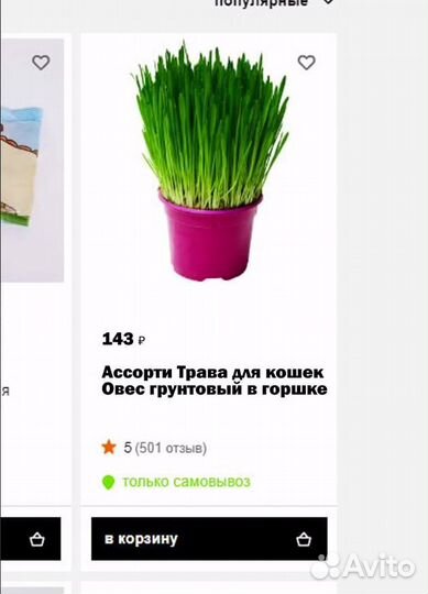 Трава для животных (готовый бизнес)