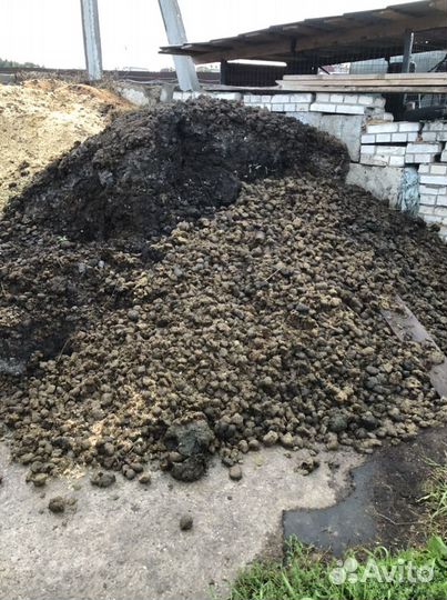 Конский навоз