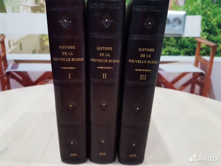Очерк древней истории новой России. 1820 год