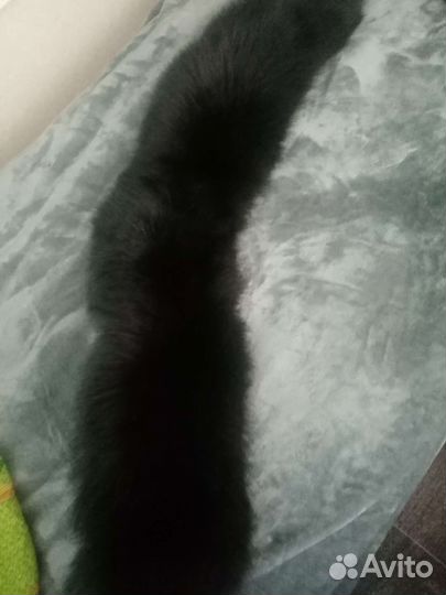 Меховой воротник чернобурка
