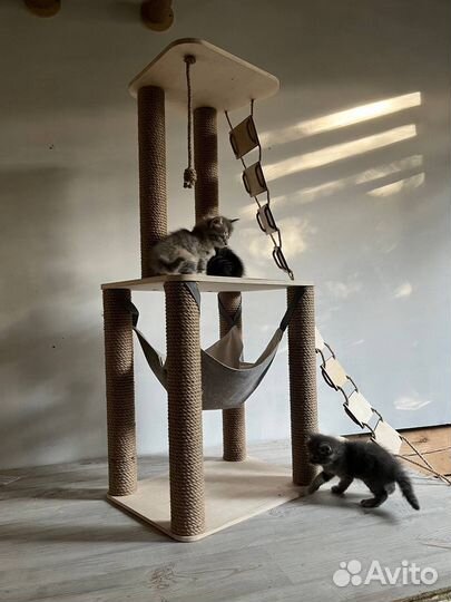 Домик для кошки с когтеточкой