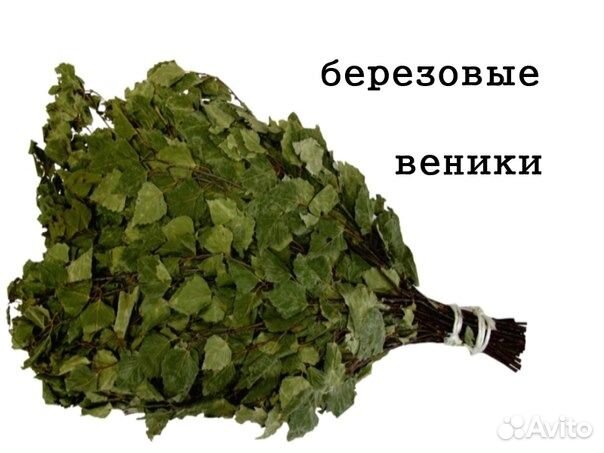 Веники берёзовые