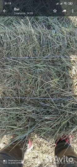 Сено в тюках