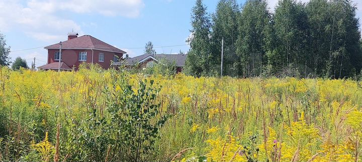 Участок 16,5 сот. (ИЖС)