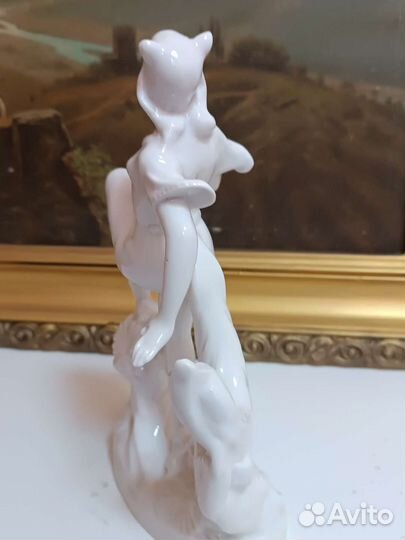 Балерина кошка, вербилки