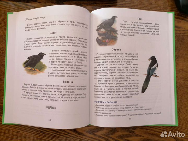 Н.С.Жукова Первая книга для чтения