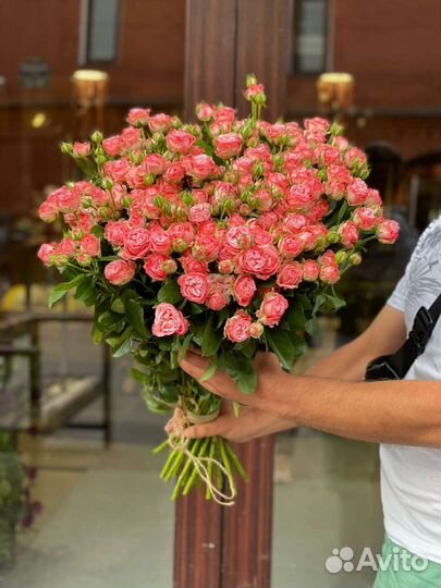 Кустовая роза (бомбастик)