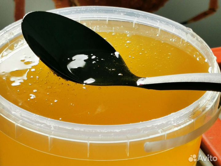 Мед липовый. Ленск. 2023