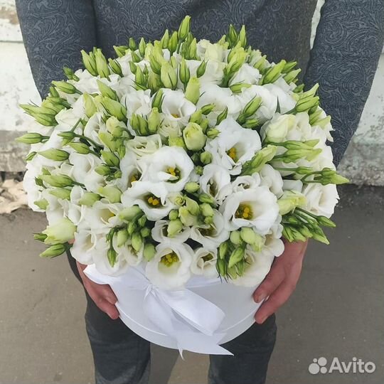 Коробка цветов, 9 роз в коробке, цветы в коробке