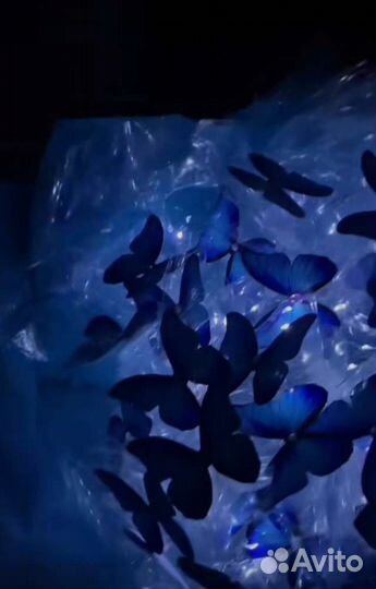 Букет с бабочками