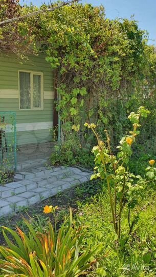 Дом 20 м² на участке 16 сот.