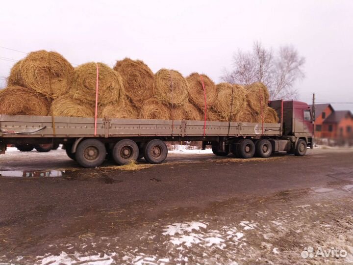 Сено в тюках