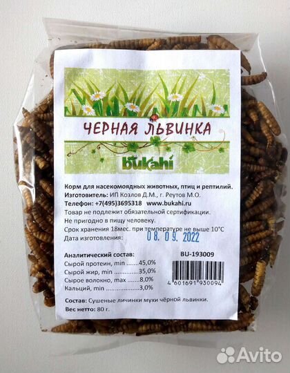 Личинки чёрной львинки сушёные