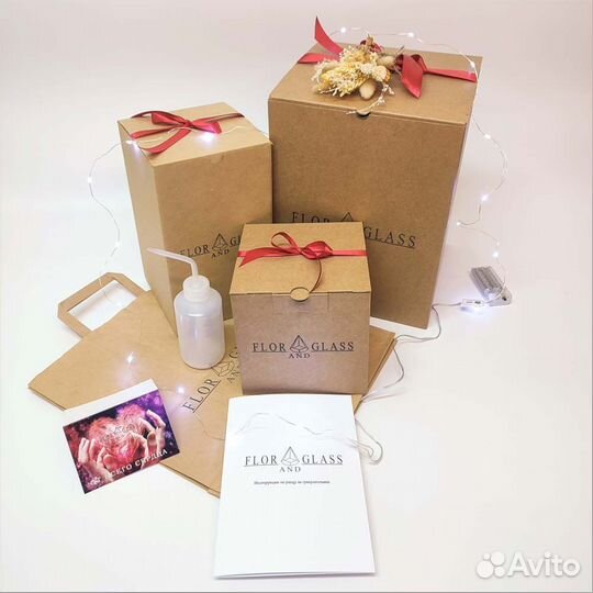 Флорариум с суккулентами 