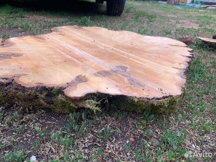 Срезы дерева