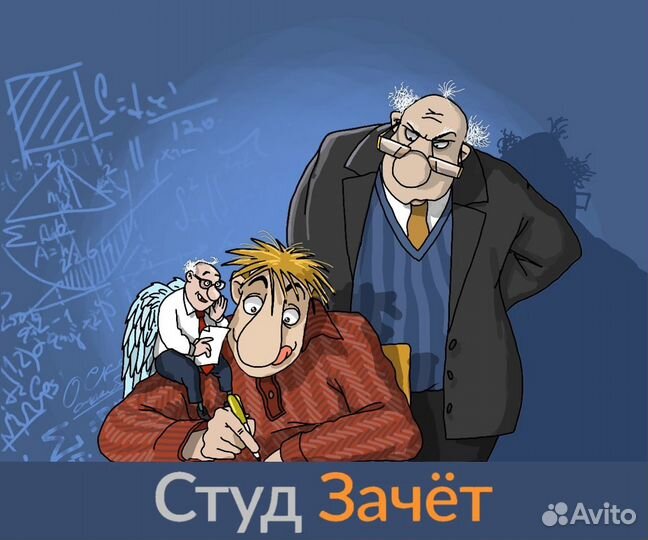 Помощь студентам: рефераты, курсовые, дипломы