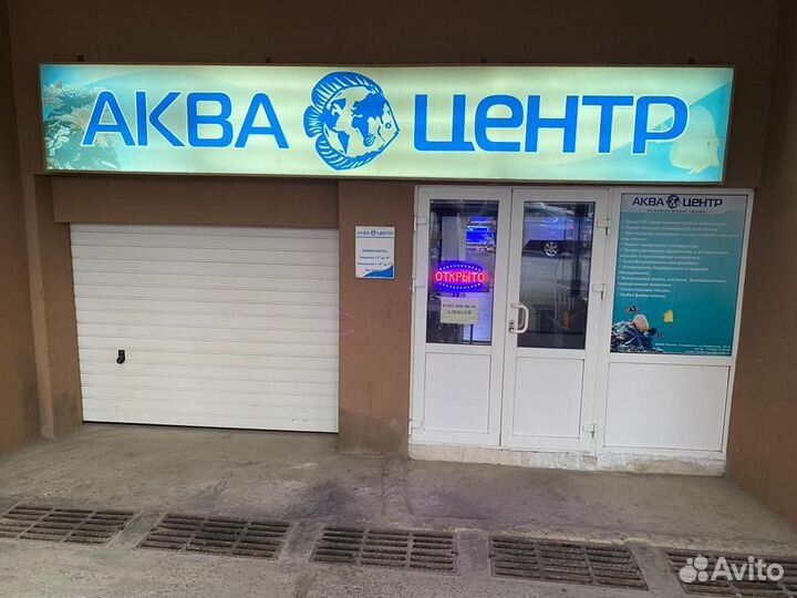 Аквариумный магазин