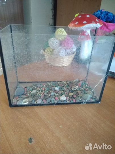 Аквариум маленький