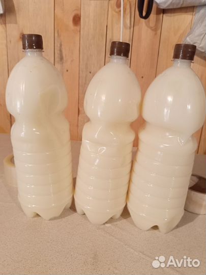 Барсучий жир