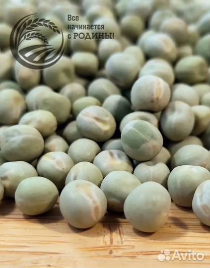 Микрозелень семена горох 5кг