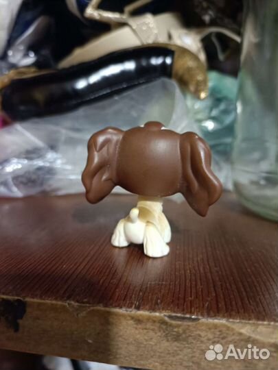 Littlest pet shop lps кокер 3d 3д #156
