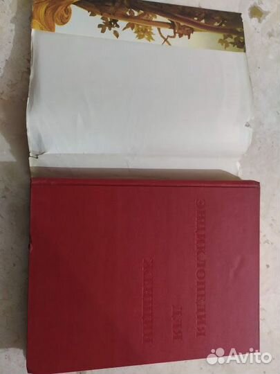 Энциклопедия для женщин