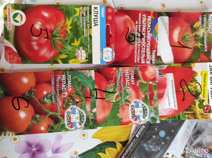 Продам рассаду перца,помидор,капусты,цветов