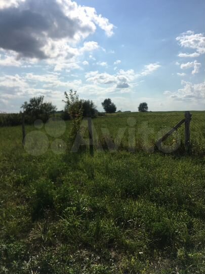 Участок 50 сот. (ИЖС)