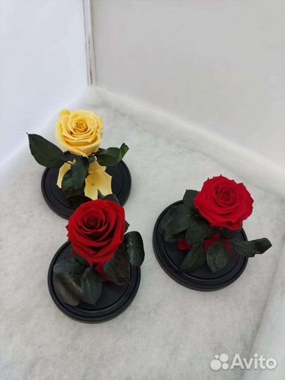 Роза в колбе оптом и в розницу