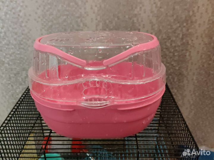 Клетка для джунгарского хомяка