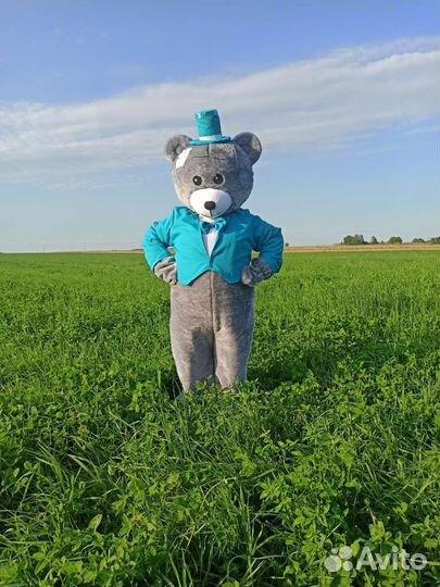 Поздравление Мишка Тедди