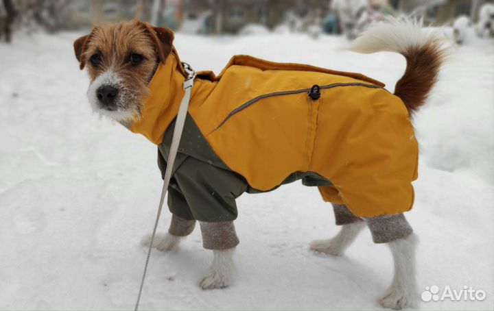 Теплая одежда (куртка, комбинезон) для собак